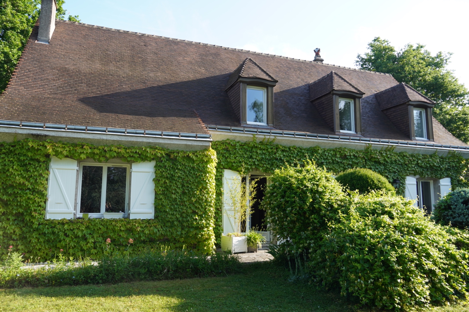 Maison rénovée par Avenir & Projet Construction — façade avec lierre